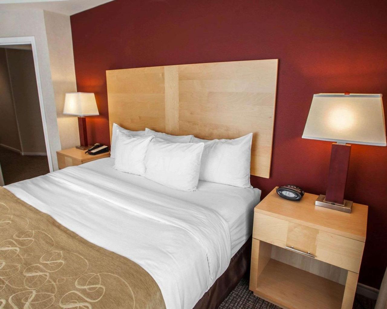 Comfort Suites Michigan Avenue Чикаго Екстер'єр фото