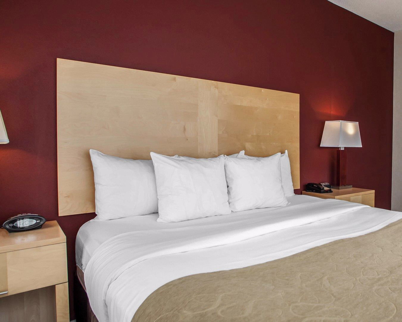 Comfort Suites Michigan Avenue Чикаго Екстер'єр фото